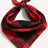 Front view of pet red buffalo check pets bandana